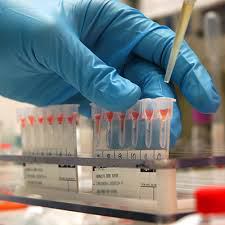 Bovine Blood Plasma Derivatives MarketD