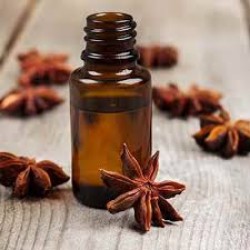Global Anise Seed Oil Market